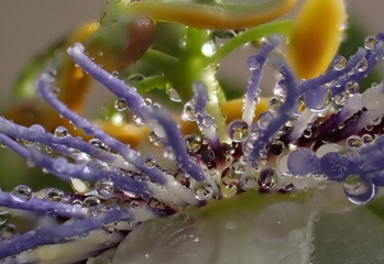 P1124751a.jpg